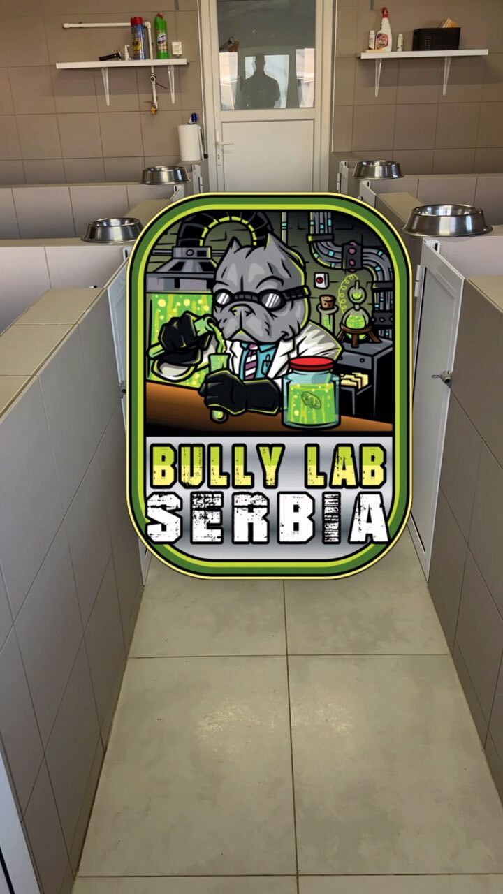 Instagram post from bully_lab_serbia. This post is in position 0.