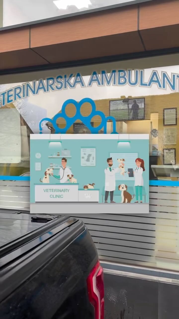 Instagram post from bully_lab_serbia. This post is in position 3.